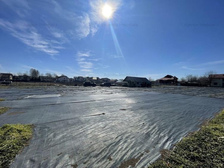 Teren Str. Livezilor - Mogosoaia - Comision 0% - 3