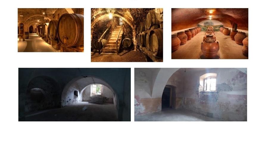 Gaminvest Crama Resort cu Proiect Aprobat in Conac Istoric din Sec XIX Arad - 2