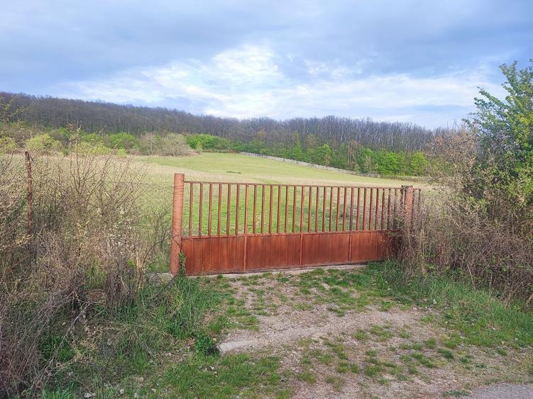 Teren imprejmuit 6,40 ha - 1