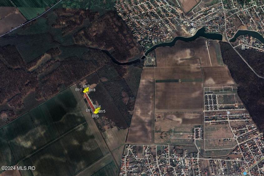 Tamasi, langa padure, 12.824 mp, deschidere 45 ml, teren cu potential! - 5