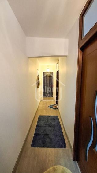 Suprafata Generoasa I Zona Gemenii - 20