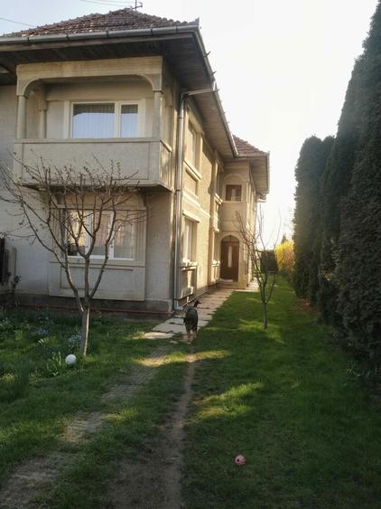 casa de vanzare in Fagaras - 7