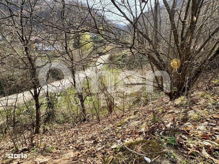 Teren intravilan | 637 mp | Ulmoasa | zona superba - 4