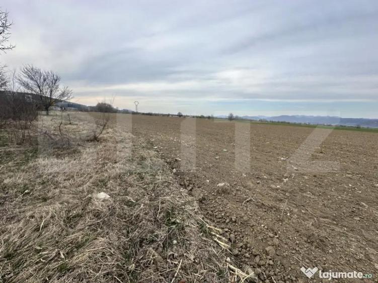 ???? Teren intravilan 32.000 mp pozi?ie strategica la - 2