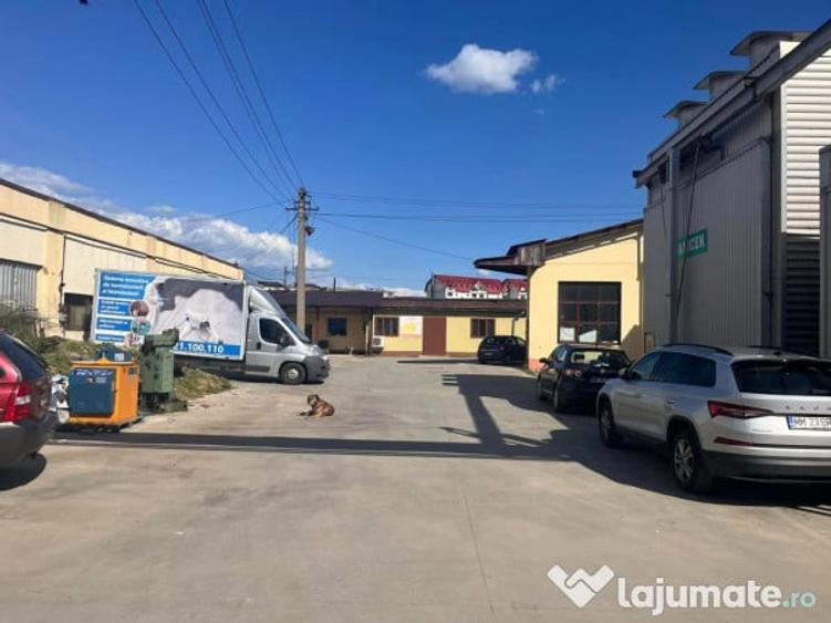 Inchiriez hale productie si birouri in Baia Mare Sud - 10