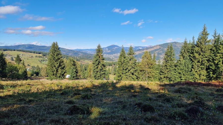 Teren intravilan in Bucovina, Dorna Arini - 1