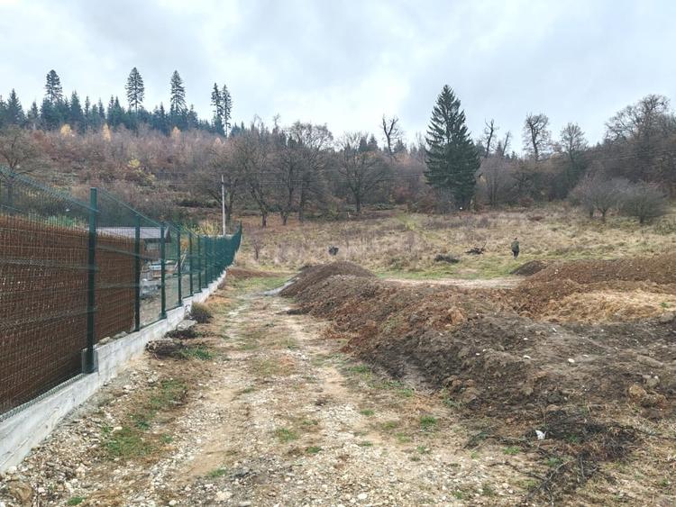 Investitie sigura: teren intravilan extrordinar, cu deschidere la padure - 2