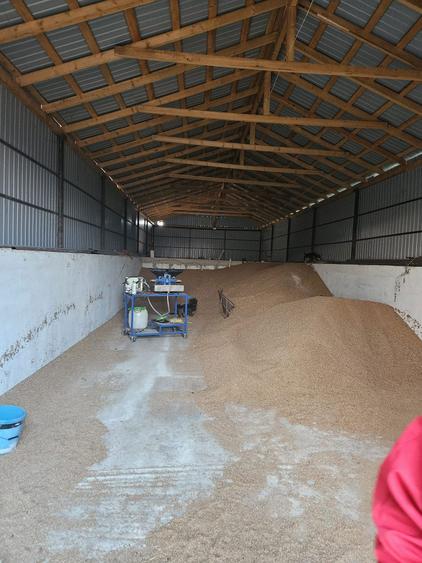 Casa + Teren cu livada de vanzare | Ibrianu, DB - 3