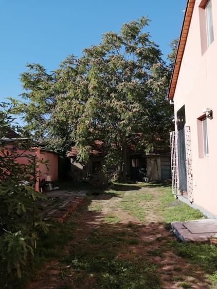 Casa de vanzare in zona Iosefin -Mangalia (curte+gradina) - 9