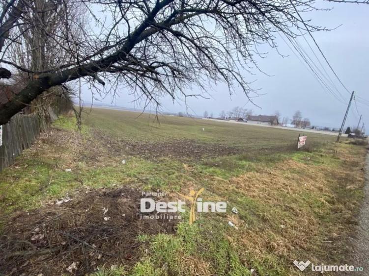Teren de vanzare Girov- Doina 7200MP 140000 - 3