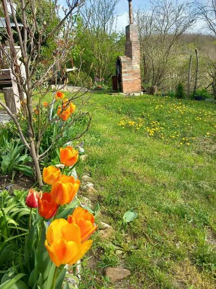 De vanzare casa de vacanta - 4