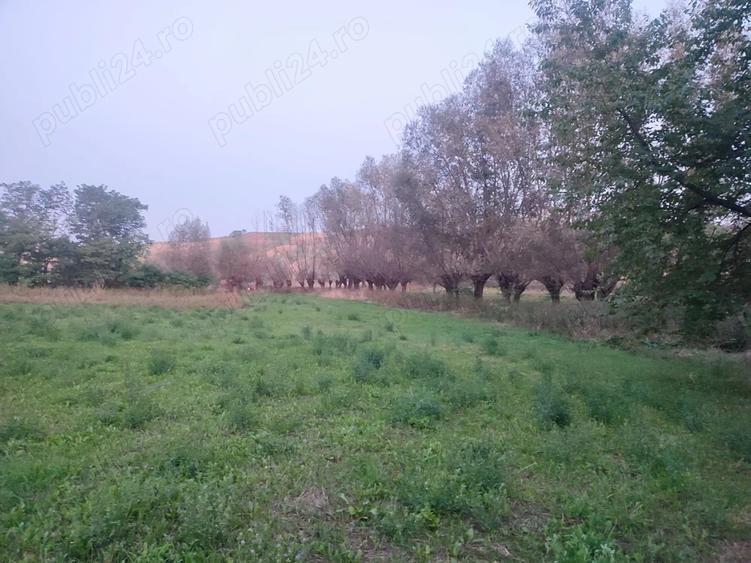 Vand casa cu teren, localitatea Horodniceni, jude?ul Suceava - 3