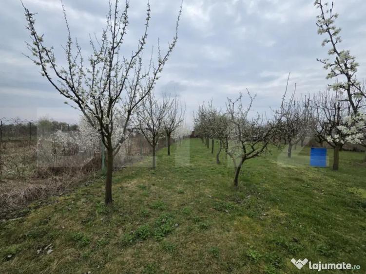 Teren intravilan de vanzare, 2.877 mp, zona Apateu Satu Mare - 1