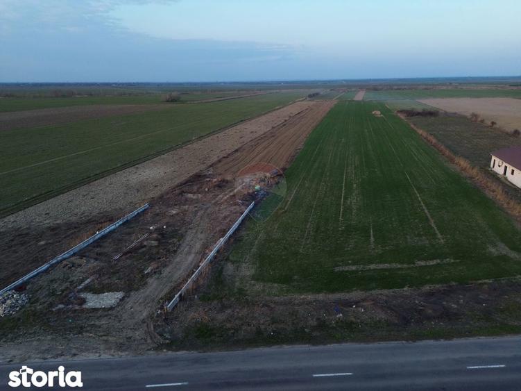 Teren 12,360mp Botarlau / Strada Unirii - 5
