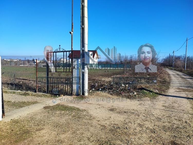 Teren Statia Meteo Balcescu/ 2 loturi de 5000 mp /Tecuci - 1