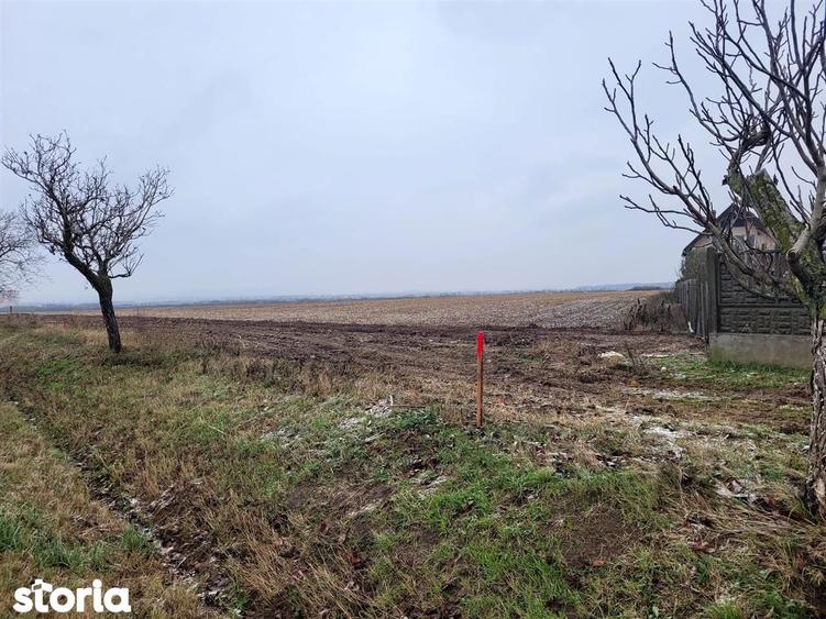 Teren intravilan,Calea Aradului,zona aeroport, Oradea - 3
