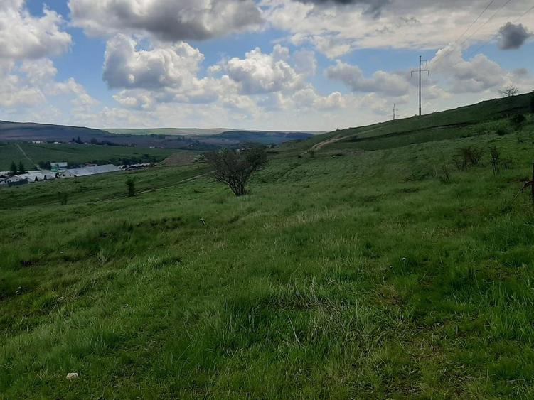 Teren de vanzare in Valcele - 8