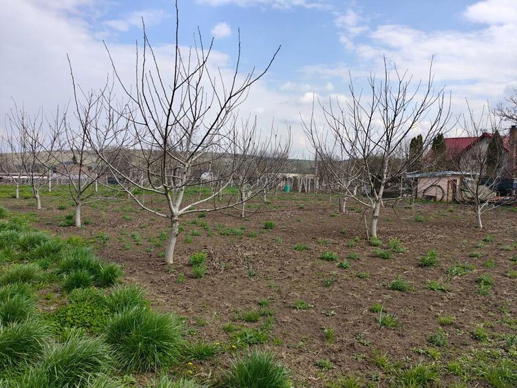 Teren de 5800 mp, în Mădârjești