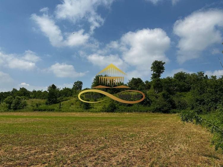 Casa batraneasca cu 2ha de teren de vanzare in sat Balaia / Bacau - 9