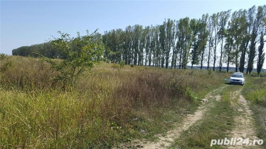 Teren de 1082 mp, în Siliștea Snagovului