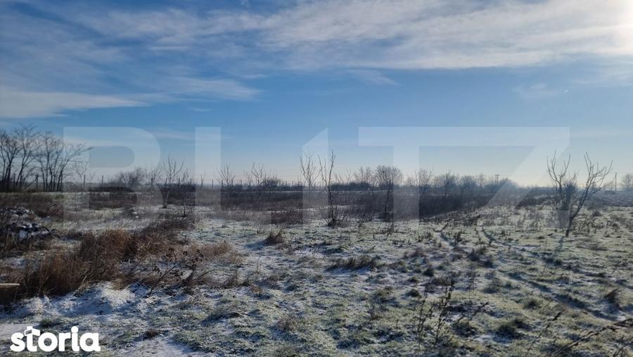 Teren de 50000 mp, în Ciorani