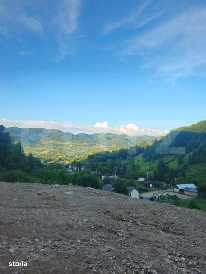 Teren de vanzare, 10.000 mp - Bistrita Bargaului, zona turistica - 5