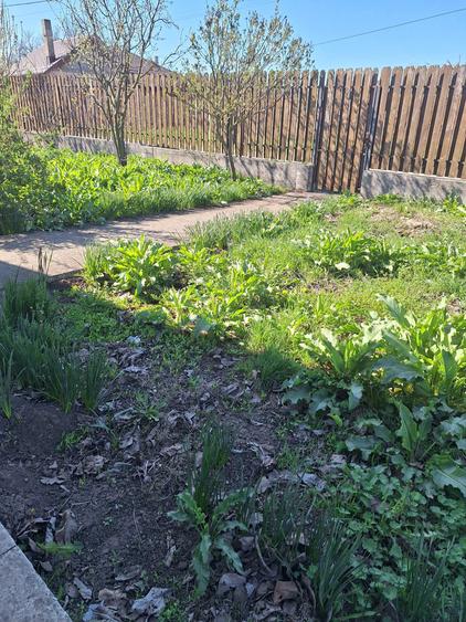 Casa de vanzare Comuna Gradistea - 7