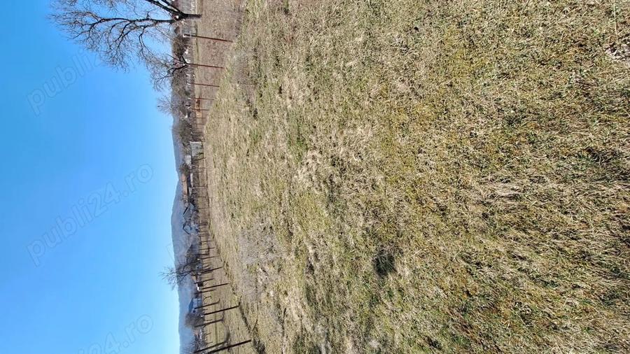 Ofer spre inchiriere teren - 4