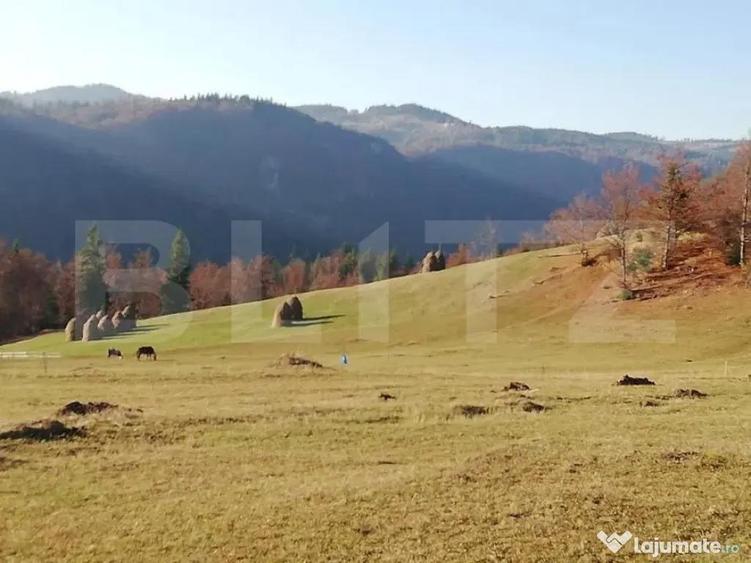 Teren de vanzare, Scarisoara, ideal pentru cabana - 1