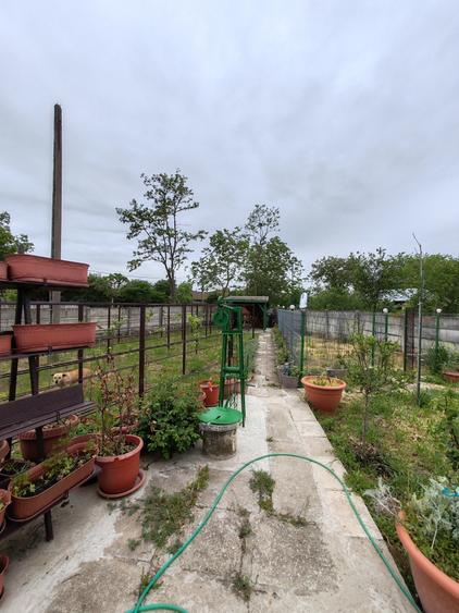 Casă + teren 4200 mp, vie, curent, fosa, anexă – Crevedia Mare, Giurgiu - 4