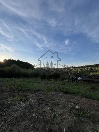 Teren la poalele Cetății Cisnadioarei de vânzare/1250 mp - 6