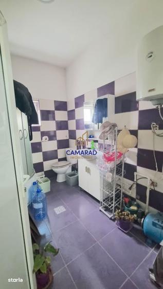 Teren de vanzare in Tamadau Mare, jud. Calarasi Strada Principala - 1