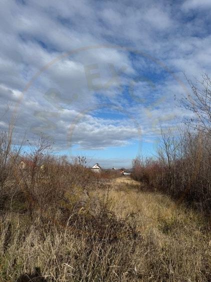 Comision 0 - Teren intravilan Prundu - Bananai - 2939 mp - 2