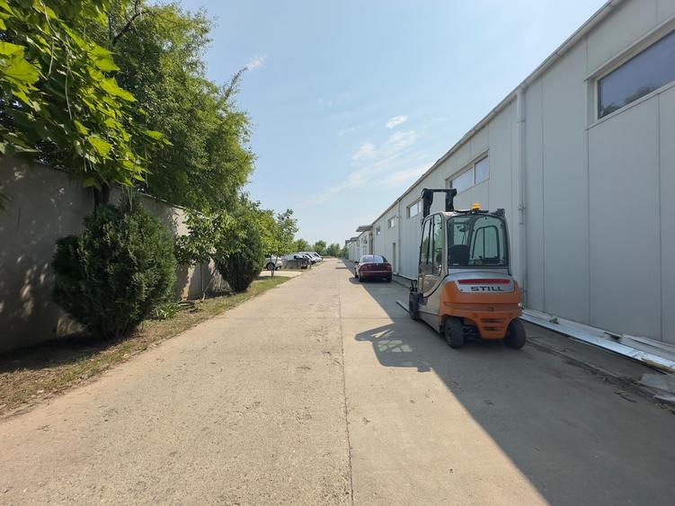 Hala 562mp, depozit medical, productie , Iasi - zona Hotel Capitol - 5