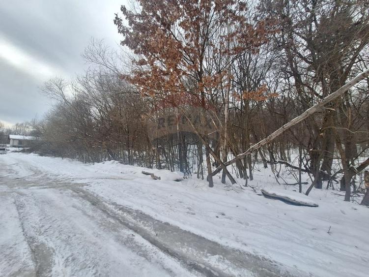 Teren de constructii  Cisnadioara, zona Apfelhouse - 3