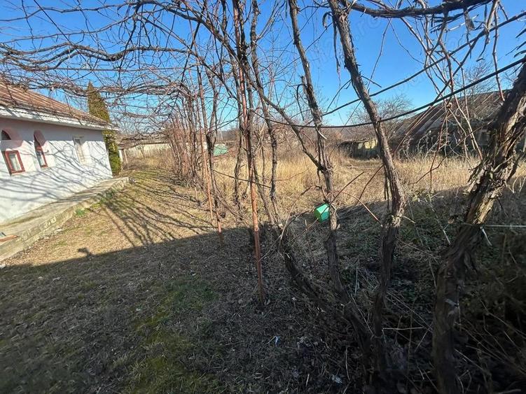 De vanzare casa in Balusesti, cu 1045mp teren ?i 120mp construiti, 27.500 euro - 5