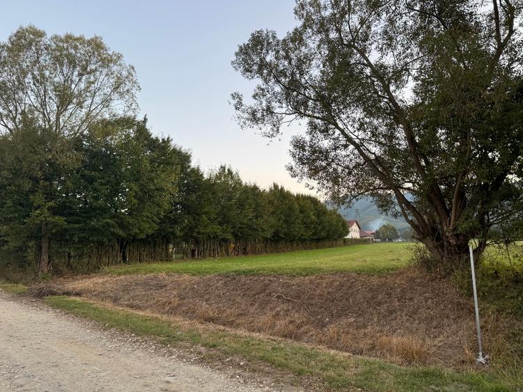 Teren intravilan Tocile Sadu jud. Sibiu Priveliste superba - 6