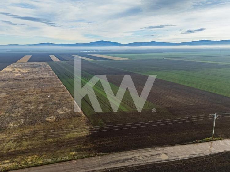 Teren exceptional pentru investitii industriale langa Brasov - 11