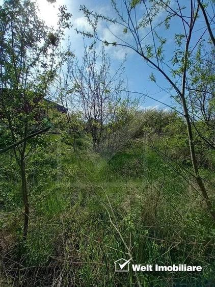 Teren 500mp strada Frunzisului - 5