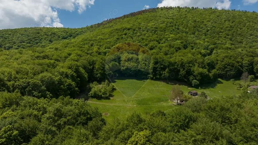 Teren de vanzare Colonia 1 Mai, 5.310 mp, ideal pentru investi?ie - 4