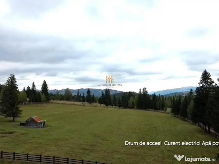 Teren 2804 mp, la munte! In Bucovina Fundu Moldovei! - 7