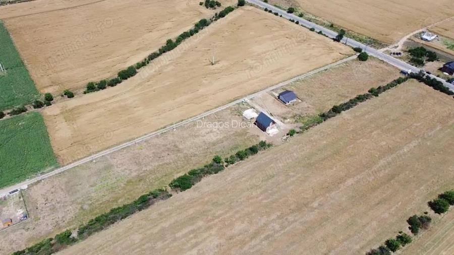 Lot Intravilan In Rate Com. Berceni | utilitati: curent/gaz | #MG4EBF