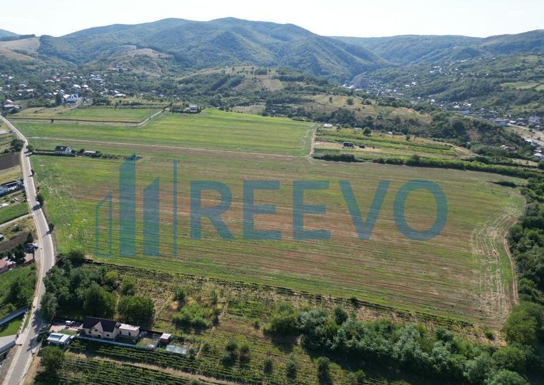 Teren de vanzare, Com. Sarata, Jud. Bacau - 2