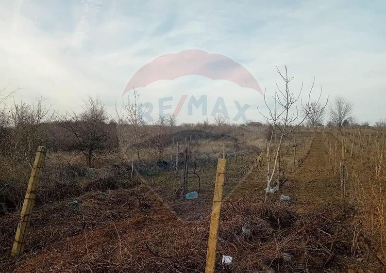 Teren 2,301mp Carcea / Aleea Tarlaua 37 Parcela 63 - 4