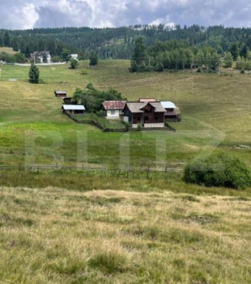 Teren ideal pentru investi?ie, ?aru Dornei, 36.000 mp - 3