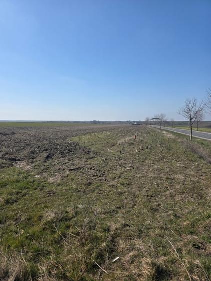 Teren intravilan, 5000 mp, deschidere 409 ml, utilitati, zona Nord - 1