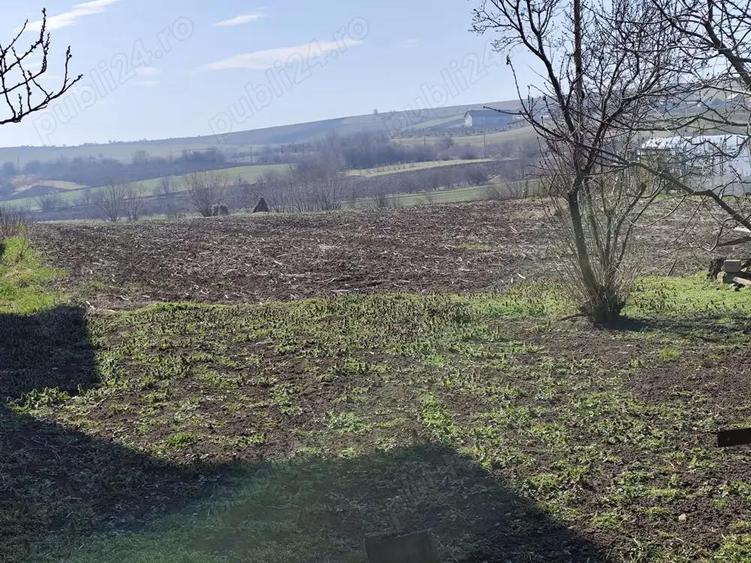 Vand casa batraneasca in Siret -Manastioara - 3