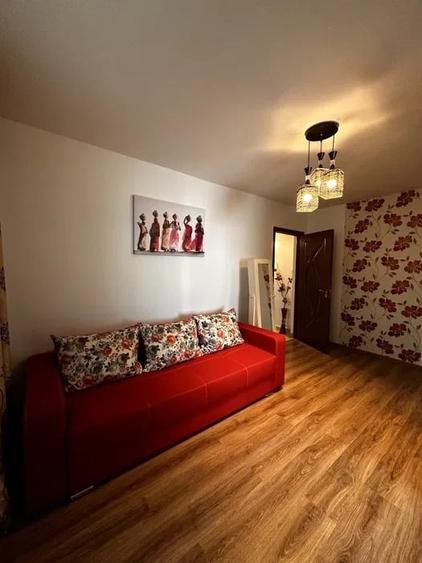 Apartament cu 2 camere, zona Alexandru cel Bun - 4