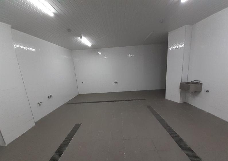 Hala - flux DSV - domeniu alimentar - productie sau catering - 7