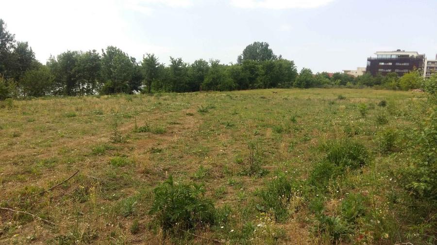 Teren 6000 mp pozitie deosebita lacul Baneasa adancime 140 m - 14